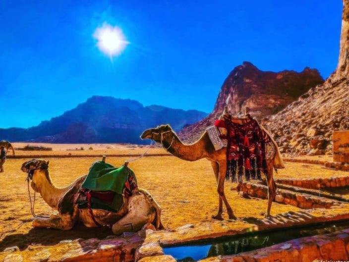 Moon City With Jeep Trips Ουάντι Ραμ Εξωτερικό φωτογραφία
