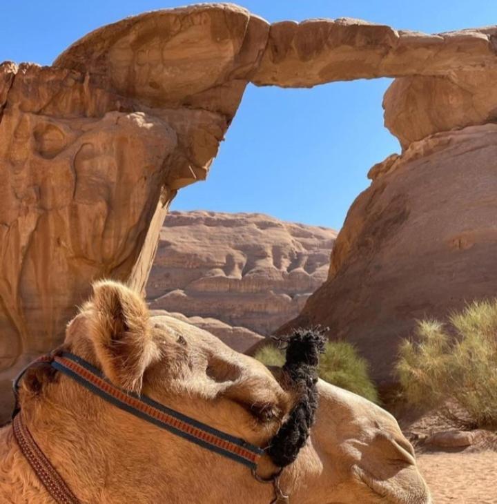 Moon City With Jeep Trips Ουάντι Ραμ Εξωτερικό φωτογραφία